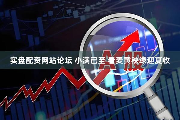 实盘配资网站论坛 小满已至 看麦黄秧绿迎夏收